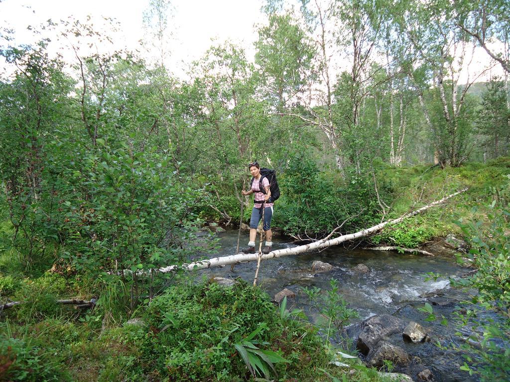 Gargia Lodge Alta Ngoại thất bức ảnh